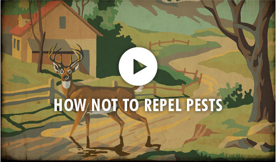 How Not To Repel Pests